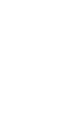 NZ outline